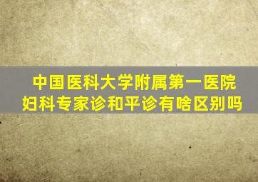 中国医科大学附属第一医院妇科专家诊和平诊有啥区别吗