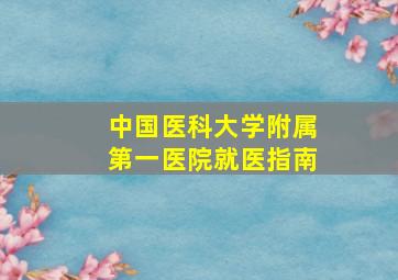 中国医科大学附属第一医院就医指南