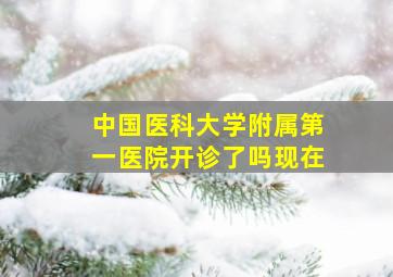 中国医科大学附属第一医院开诊了吗现在