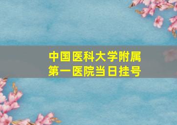 中国医科大学附属第一医院当日挂号