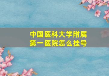 中国医科大学附属第一医院怎么挂号