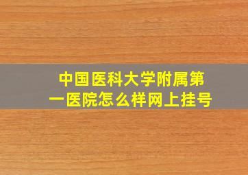 中国医科大学附属第一医院怎么样网上挂号