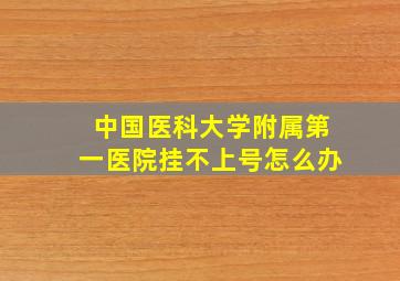 中国医科大学附属第一医院挂不上号怎么办