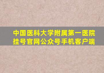 中国医科大学附属第一医院挂号官网公众号手机客户端