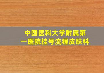 中国医科大学附属第一医院挂号流程皮肤科