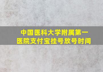 中国医科大学附属第一医院支付宝挂号放号时间