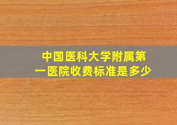 中国医科大学附属第一医院收费标准是多少