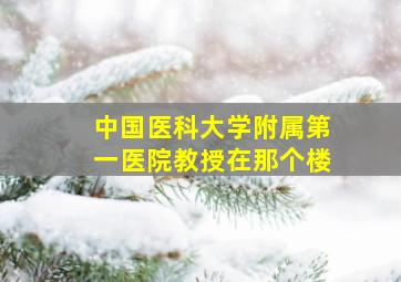 中国医科大学附属第一医院教授在那个楼