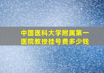 中国医科大学附属第一医院教授挂号费多少钱