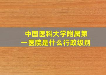 中国医科大学附属第一医院是什么行政级别