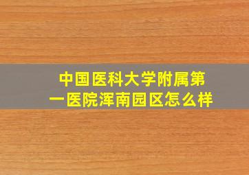 中国医科大学附属第一医院浑南园区怎么样