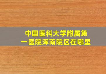 中国医科大学附属第一医院浑南院区在哪里