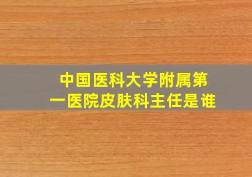 中国医科大学附属第一医院皮肤科主任是谁