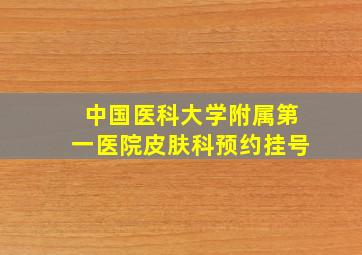 中国医科大学附属第一医院皮肤科预约挂号