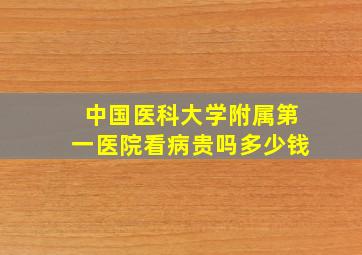 中国医科大学附属第一医院看病贵吗多少钱