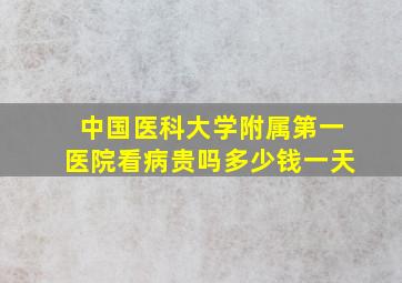 中国医科大学附属第一医院看病贵吗多少钱一天