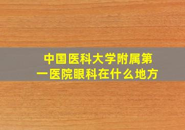 中国医科大学附属第一医院眼科在什么地方