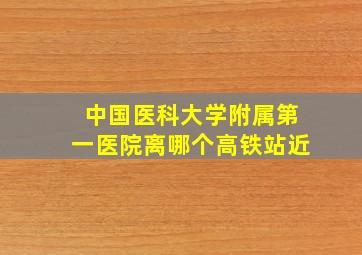 中国医科大学附属第一医院离哪个高铁站近