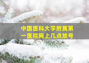 中国医科大学附属第一医院网上几点放号