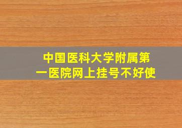 中国医科大学附属第一医院网上挂号不好使