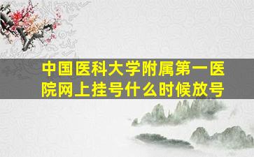 中国医科大学附属第一医院网上挂号什么时候放号