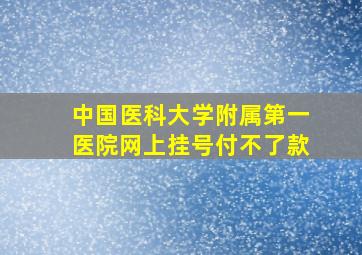 中国医科大学附属第一医院网上挂号付不了款