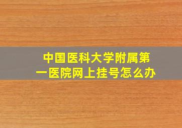 中国医科大学附属第一医院网上挂号怎么办