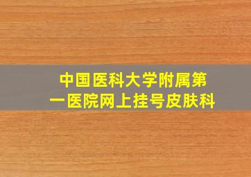 中国医科大学附属第一医院网上挂号皮肤科