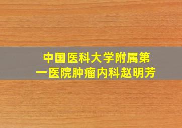 中国医科大学附属第一医院肿瘤内科赵明芳