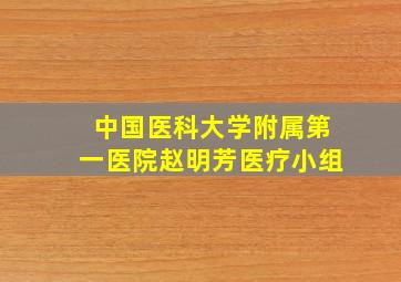 中国医科大学附属第一医院赵明芳医疗小组