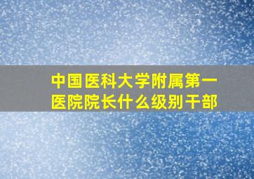 中国医科大学附属第一医院院长什么级别干部