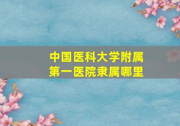 中国医科大学附属第一医院隶属哪里