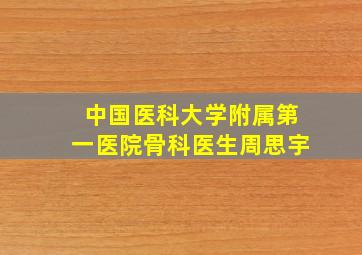 中国医科大学附属第一医院骨科医生周思宇