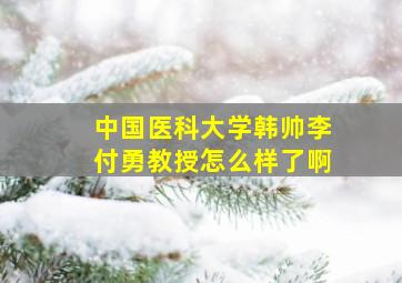 中国医科大学韩帅李付勇教授怎么样了啊