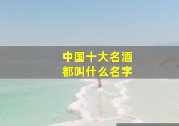 中国十大名酒都叫什么名字