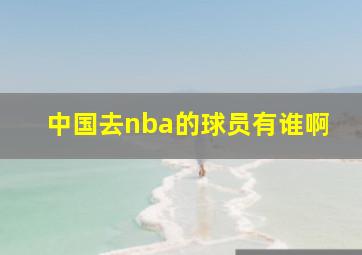 中国去nba的球员有谁啊