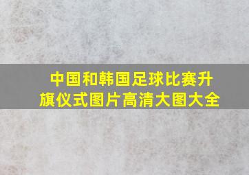 中国和韩国足球比赛升旗仪式图片高清大图大全