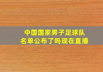 中国国家男子足球队名单公布了吗现在直播