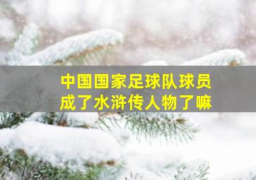 中国国家足球队球员成了水浒传人物了嘛