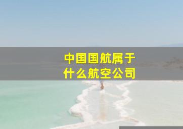 中国国航属于什么航空公司