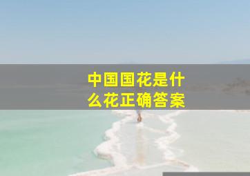 中国国花是什么花正确答案