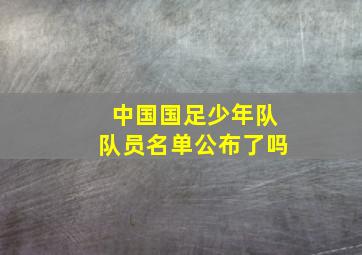 中国国足少年队队员名单公布了吗