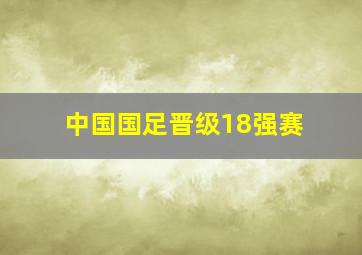 中国国足晋级18强赛