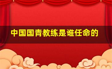 中国国青教练是谁任命的