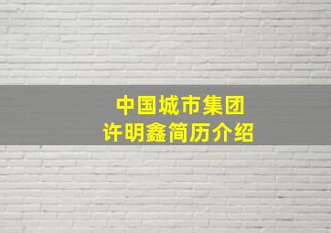 中国城市集团许明鑫简历介绍