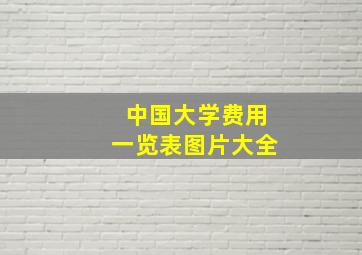 中国大学费用一览表图片大全