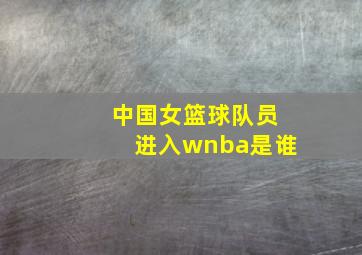 中国女篮球队员进入wnba是谁