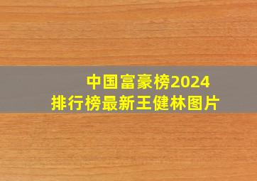 中国富豪榜2024排行榜最新王健林图片