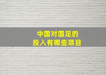 中国对国足的投入有哪些项目