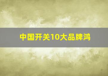 中国开关10大品牌鸿